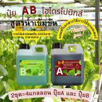 ปุ๋ยAB HIDROPONIC ปุ๋ยผักสลัด สำหรับปลูกผัก Hydroponics ขนาด 2ชุด 2แกลอน New สูตรเข้มข้น