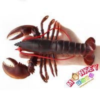 Monkey Toys - โมเดลสัตว์ Lobster กุ้งมังกร บอสตัน แดง ขนาด 23.00 CM (จากหาดใหญ่)