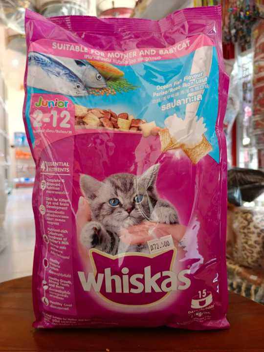 Whiskas dry food junior 1.1kg rasa ocean fish Lazada Indonesia