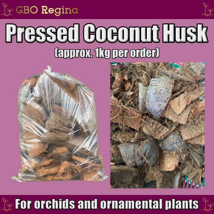 Garden Supplies Pressed Coconut Husk (Bunot) Lazada PH