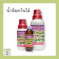 น้ำส้มควันไม้ สูตรเข้มข้น โกลเด้นฟลาวเวอร์