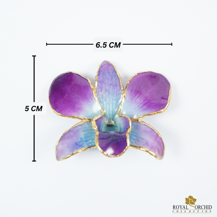royal-orchid-เข็มกลัดดอกกล้วยไม้หวาย