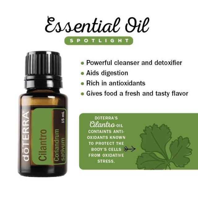 น้ำมันผักชี-น้ำมันสกัดจากใบผักชี-น้ำมันหอมระเหย-cilantro-essential-oil-น้ำมันหอมระเหยผักชี-ผักชี