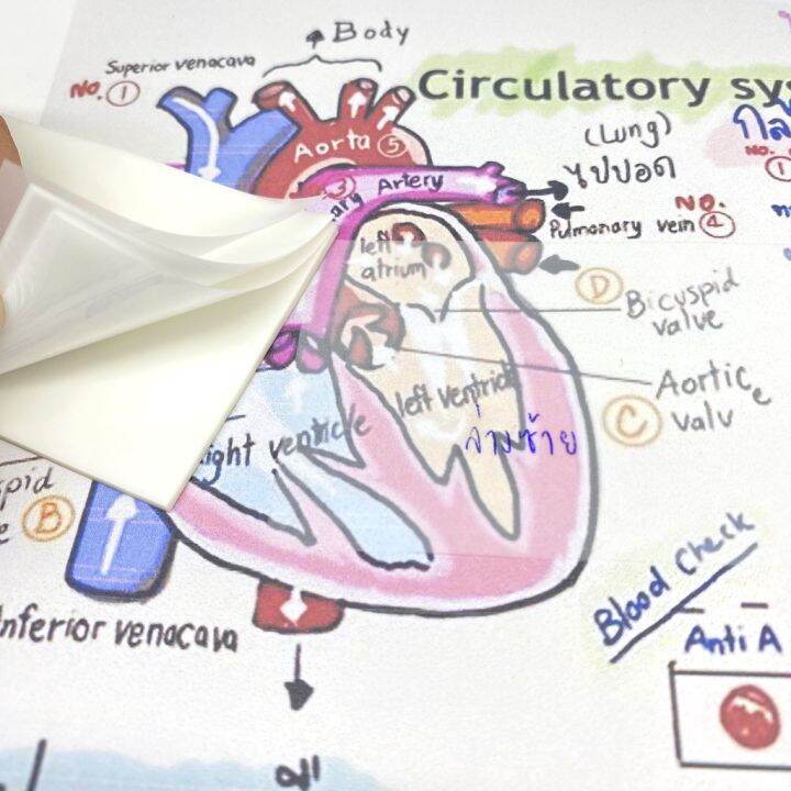 โพสต์-อิทฟิล์ม-stick-note-กระดาษโน๊ต-pet-กันน้ำ-มีกาวในตัว-ขนาด-51x76-มม-50-แผ่น-i-no-207