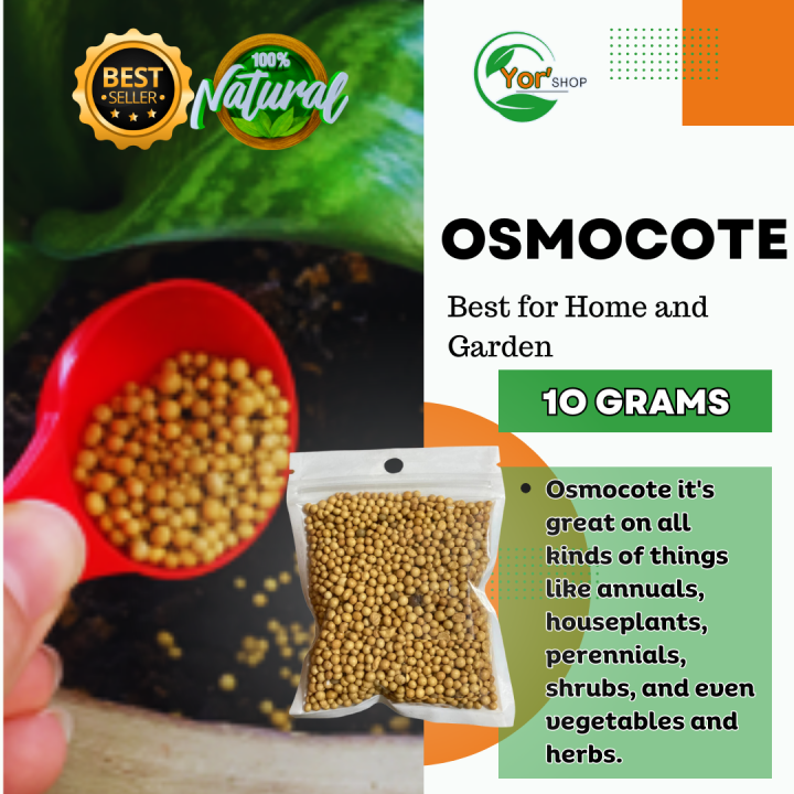 10 grams Osmocote Fertilizer l Best for using in Plants l Organic