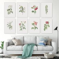 Sumanssa Vintage Botanical Rose ดอกไม้ Wall Art ภาพวาดผ้าใบสำหรับตกแต่งห้องนั่งเล่น Wild Plant Nordic โปสเตอร์และพิมพ์