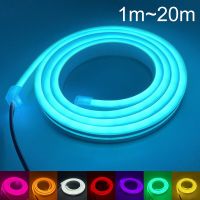 1-20m Flexible Neon LED Strip 12V With Solderless head SMD2835 120LED/m Tape Light Waterproof 6mm DIY Home Decor Party Dimmable LED Strip Lighting