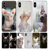 Sphynx Cat For iPhone 11 13 14 Pro Max 12 Mini Phone Case X XS XR 6 6S 8 7 Plus SE Apple 5 5S Fundas Cover Coque Capa