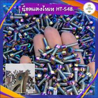 น็อตแต่งไทเทเนี่ยม M4*12 เกลียวยาว 10 มม. รหัส HT-548