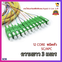 สายไฟเบอร์ออฟติกพิกเทล (Pigtail) 1 Core ชนิดหัว SC/APC จำนวน 12 เส้น 12 สี สายยาว 3 เมตร