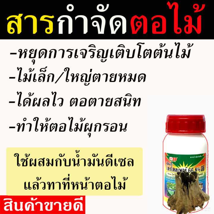 สูตรเข้มข้น-สารกำจัดตอไม้-100-ซีซี-กำจัดตอไม้ทุกชนิด-ทำลายตอไม้-ฆ่าตอไม้-กำจัดตอ-สลายตอไม้-ยาทาตอไม้-ยาทาตอยาง