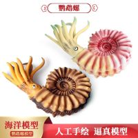 The simulation of Marine ancient Cambrian nautilus ammonite snake stone invertebrate model toys furnishing articles