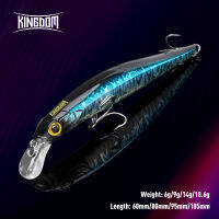 เหยื่อ Jerkbaits ขายดีจาก Kingdom เหยื่อล่อปลา S และ Baits 6สีเหยื่อปลาปลอมจมเหยื่อแข็งคุณภาพสูงเหยื่อล่อสำหรับตกปลาล่อสำหรับการตกปลา Wobblers แอคชั่นดี