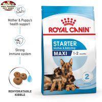 สุดปัง ส่งฟรี ? Royal Canin Maxi Starter Mother &amp; Baby Dog ขนาด 4 kg. อาหารเม็ดแม่สุนัข และ ลูกสุนัขหย่านม พันธุ์ใหญ่ อายุ 1-2 เดือน (Dry Dog Food, โรยัล คานิน) ?