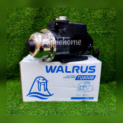 🇹🇭 WALRUS 🇹🇭 ปั๊มน้ำอัตโนมัติ รุ่น TQ800B กำลัง 750วัตต์ ท่อออก 1x1"นิ้ว สูงสุด 35 ม.ปริมานน้ำ 95L/นาที ปั๊มน้ำ ปั๊มบ้าน จัดส่ง KERRY 🇹🇭