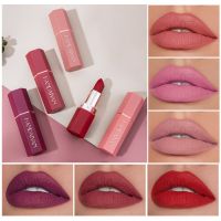6 Colors Matte Waterproof Velvet Lipstick Sexy Red Brown Pigments Makeup Long Lasting Profissional Lipstick