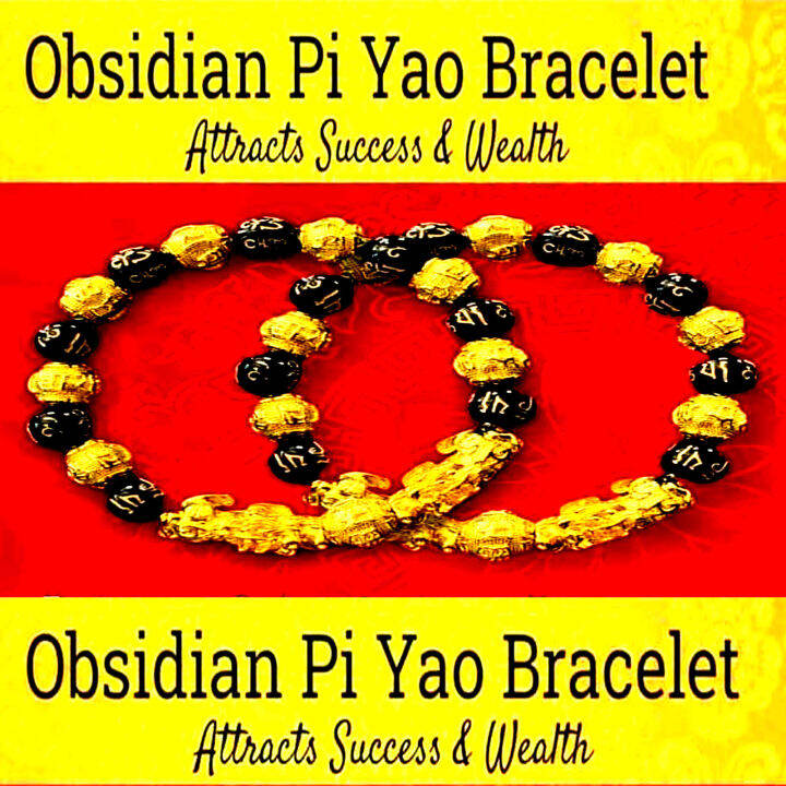 Lucky Charm for Money and Business DOUBLE PIYAO PIXIU BLACK OBSIDIAN