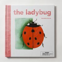 Beauty is in the eye ! &amp;gt;&amp;gt;&amp;gt; The Ladybug หนังสือเด็ก ภาษาอังกฤษ ปกแข็ง เรื่องเกี่ยวกับ แมลงเต่าทอง ปกแข็ง #70023 [X]