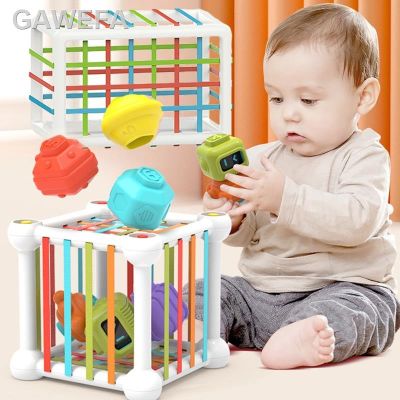 3D☼Imainan Montessori Mainan Sensorik Bentuk Sorter Bayi Blok Warna-Warni Bola Bertekstur Mainan Penyortiran Akitas Pemblajaran Perkembdini