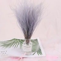 Pink Dried Feather Grass Preserved Flowers Dry Flower Natural Immortal Plant Party Wedding Bouquet Flower Home Table Decoration