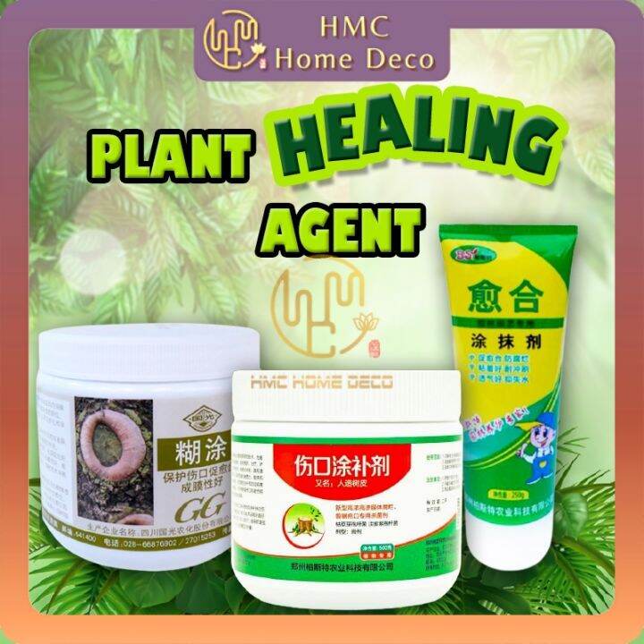 HMC Plant Wound Healing Agent Big Tree Bonsai Sealant Plants Smear