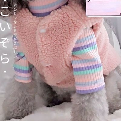 （Good baby store） Coat Jacket Pet Dog Clothes Velvet Vest Clothing Dogs Super Small Costume Cute Warm Chihuahua Autumn Winter Pink Boy Mascotas