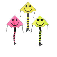 free shipping large smiling face kite flying child kite nylon ripstop kite with handle line weifang kite factory