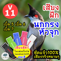 เสียงนกกรงหัวจุก V11 เบิ้ล 5 6 7 เมม/แฟลชไดร์ฟ ฝึกนกกรงหัวจุก มีเก็บเงินปลายทาง เสียงจริง ชัดแจ๋ว 100% ไม่มีโฆษณาแทรก (MP3 เสียงต่อสัตว์)