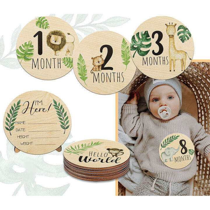 7pcs Baby Monthly Milestone Cards Sign, Wooden Newborn Welcome Sign ...