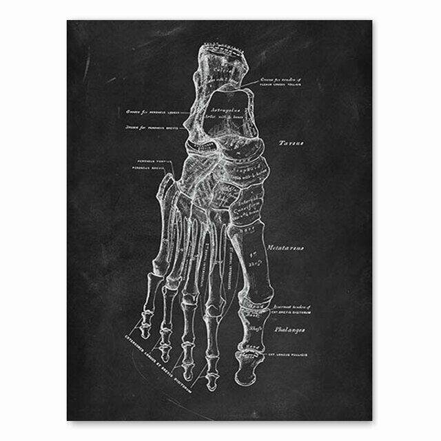 vintage-human-anatomy-artwork-พิมพ์ผ้าใบสำหรับ-medical-clinic-wall-skeleton-organ-และ-muscle-system-education-poster