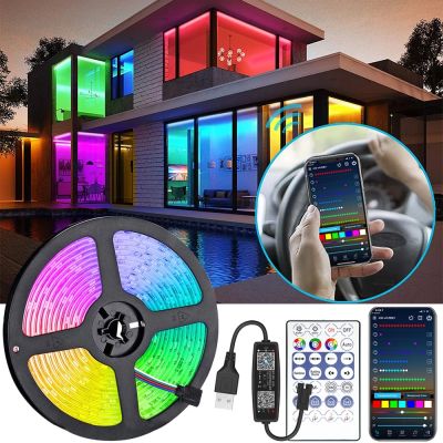 10M 20M LED Strip Lights RGBIC WS2812BRGB 5050 Bluetooth Infrared Ontroller BackLight Room Luces Luminous Decorate Fita Lamp
