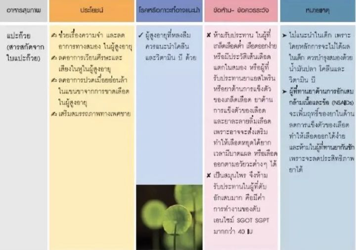 ส่งฟรี-แปะก๊วย-สารสกัดจากใบแปะก๊วย-เพิ่มความจำ-สมองเสื่อม-อัลไซเมอร์-เวียนหัว-บ้านหมุน-กิฟฟารีน-จิงโกลา-giffarine-ginkola-60-แคปซูล-พร้อมส่ง