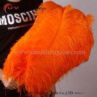 Wholesale Hard rod 10pcs/lot natural orange Ostrich Feathers 15-75cm /6-30" Wedding Christmas Decorations DIY Feather