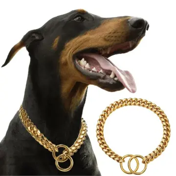 Neck chain outlet for dogs