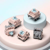 10pcspack G-Square v2 Alice Switch 5 Pins Linear Switches Bottom Force 45g PC Nylon POM 2 Sections Gold-plated Spring