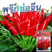 (ซองใหญ่ 500 เมล็ด) เมล็ดพันธุ์พริกช่อจีน  เมล็ดพริกช่อ Thee Cherry Pepper