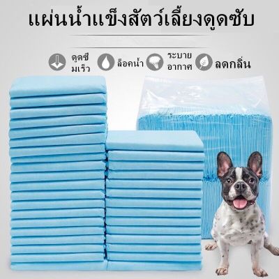 🐶🐱สิงโตนำโชค🐱🐶 Kanimal Pad คานิมอล แผ่นรองฉี่ ไซส์ S M L สุนัข แมว สัตว์เลี้ยง แผ่นรองซับ แผ่นฝึกขับถ่าย