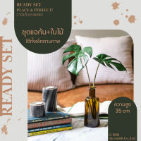 Calming Set-Monstera ใบมอนสเตอร่า ชุด เซท เซ็ทพร้อมโชว์ ของตกแต่งบ้าน สุดคุ้ม ขวดแก้วสีชาทรงสอบ มาพร้อม ต้นไม้ประดิษฐ์ ราคาต่อ 1 ชุด