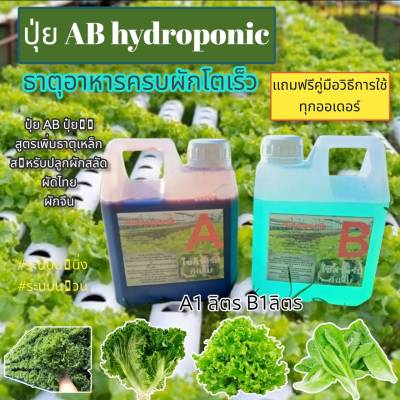 ปุ๋ยไฮโดรโปนิกส์ ปุ๋ยAB ปุ๋ยน้ำ ปุ๋ยผักสลัด สำหรับปลูกผัก Hydroponics ขนาด1000ML New สูตรเข้มข้น