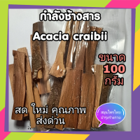 สมุนไพรกำลังช้างสาร กำลังช้างสาร ( Acacia craibii ) 100 กรัม  สมุนไพรดองยา สมุนไพรไทยโบราณ บำรุงกำลังเสริมสมรรถภาพ บำรุงร่างกาย