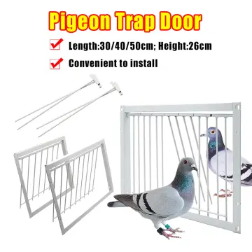 Pigeon Trap Door Large  Bird cages and Pigeon Traps