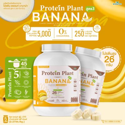 Protein Plant โปรตีนแพลนท์ สูตร 3 (รสบานาน่า กล้วย ) ขนาด 2.27 kg./กระปุก (5 ปอนด์ 5LBS) ทานได้ 45 ครั้ง โปรตีนพืช 5 ชนิด คอลลาเจนเปปไทด์ แอลกลูต้าไธโอน