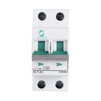 Double Pole Din Rail MCB 6KA Miniature Circuit Breakers 63A DC Type with CE