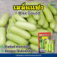 เมล็ดแฟง Wax Gourd ตราภูเขาทอง ขนาด2กรัมและ50กรัม เมล็ดพันธุ์แฟง เมล็ดแฟงใส้ตัน เมล็ดแฟงใส้ตัน เมล็ดพันธุ์ผัก