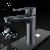 304 สแตนเลสสีดำลุ่มน้ำก๊อกน้ำร้อนและเย็นสไตล์ยุ Black stainless steel bathroom faucet