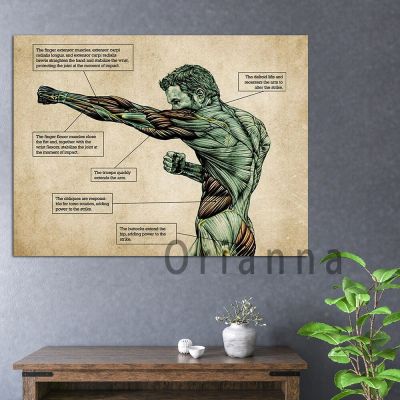 Boxing Anatomy Canvas Poster - Perfect Boxing Lover Gift For Boxing Fans - Boxing Art Print, Boxing Wall Art, Boxing Decor, Boxer Gift, Boxing Knowledge