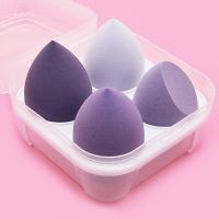 4pcs Makeup Sponge Puff Dry and Wet Combined Foundation Bevel Cut Make Up Tools