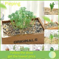 PIEPING DIY อุปกรณ์เสริม ของปลอม Flocking succulents พืชเทียม การจัดดอกไม้ ตกแต่งสวนบ้าน