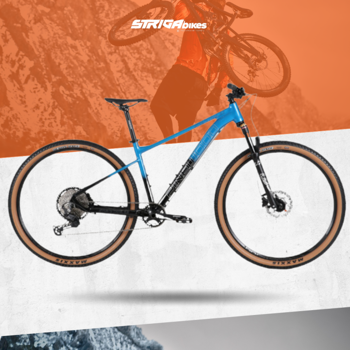 pinewood mountain bike price