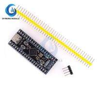 Type C USB C STM32F411CEU6 STM32F4 Microcontroller Module 128KB SRAM 512KB Flash SWD USART Interface For Arduino Learning Board